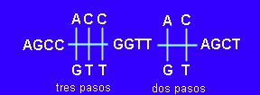 tema63.gif (2138 bytes)
