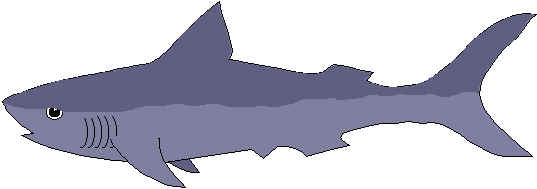 tiburon.wmf (4662 bytes)